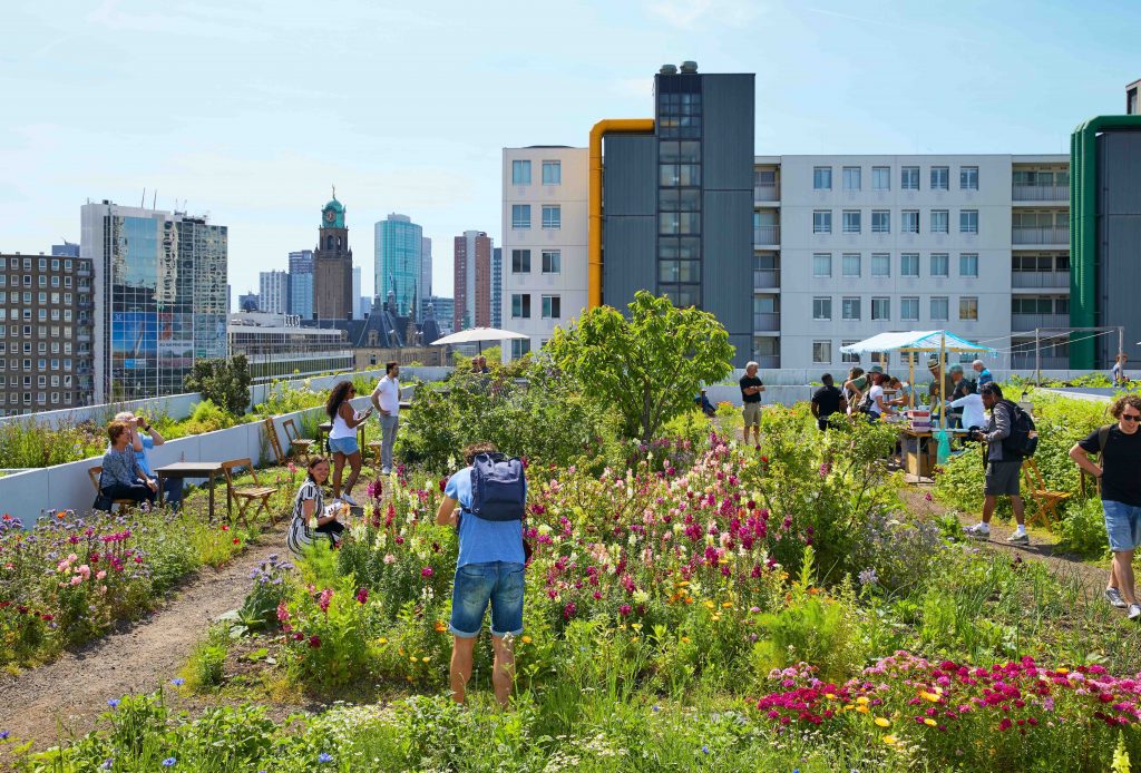 Ciudades jardín contra el déficit de naturaleza urbano