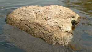 Sequía en Alemania deja al descubierto centenarias "Piedras del Hambre"