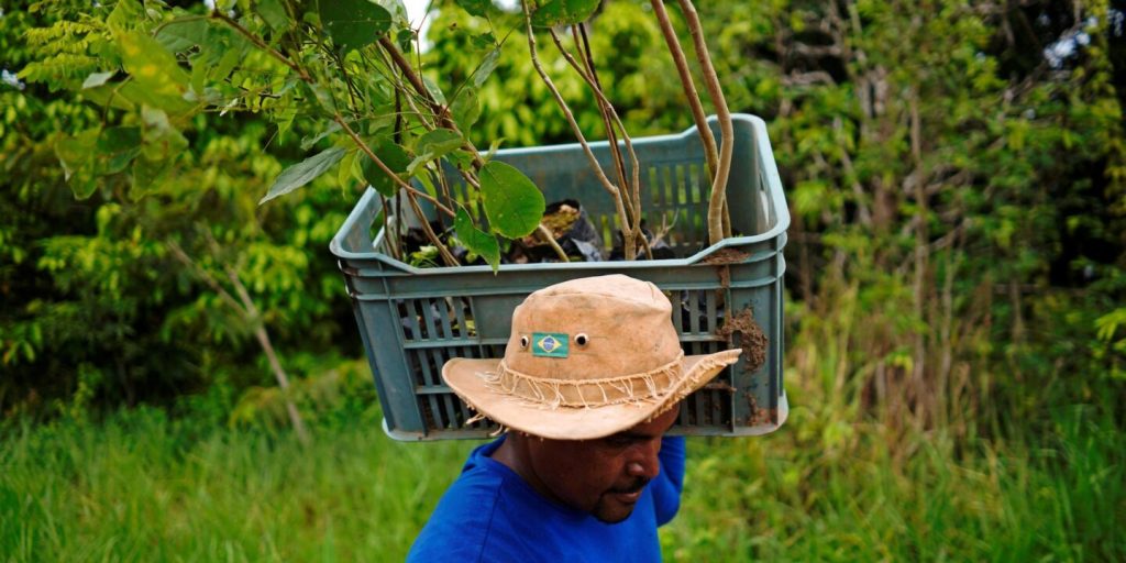 América Latina mira a la COP27: «Se acabó la hora de vernos como víctimas del clima»