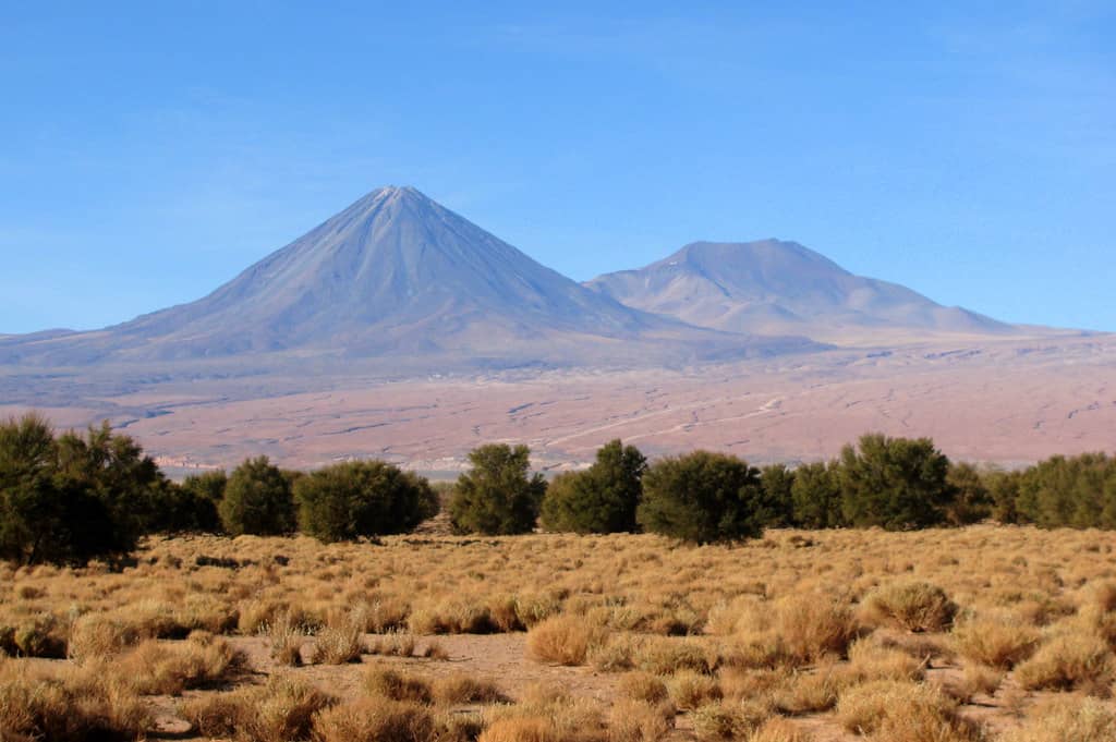 San Pedro de Atacama: La constante amenaza humana al bosque de Tambillo