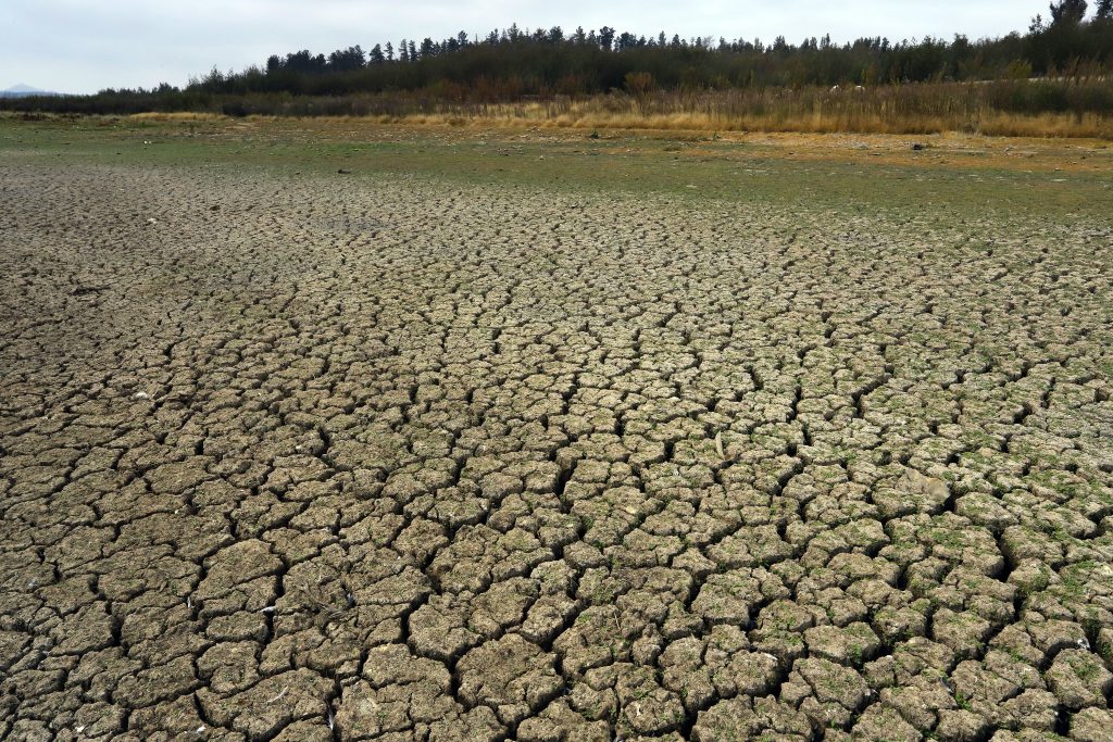 Triunfo del Rechazo en Petorca: El duro golpe en la lucha contra la escasez hídrica