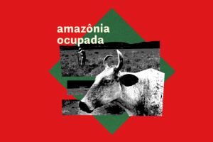La ganadería, la principal causa de deforestación de la Amazonía