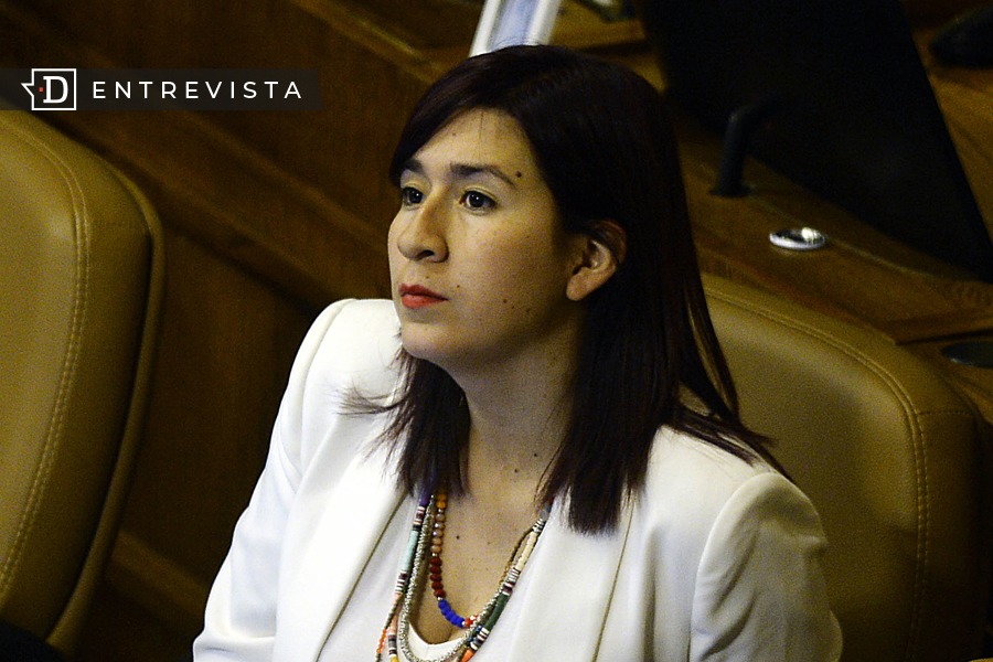 Catalina Pérez (RD): “Hay que rodear la nueva Convención de un soporte técnico apropiado”