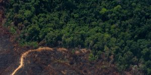 Imágenes aéreas muestran la destrucción de la Amazonía