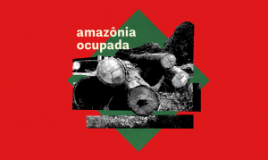 Madera en la Amazonía: solo el 10% de la extracción es legal