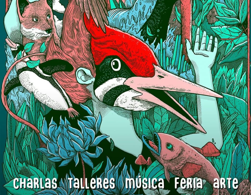 Festival Ladera Sur: Una celebración de la naturaleza y medioambiente inédita en Chile