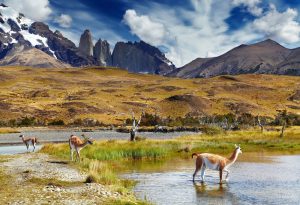 Concurso fotográfico propone destacar el valor de las áreas protegidas de Chile