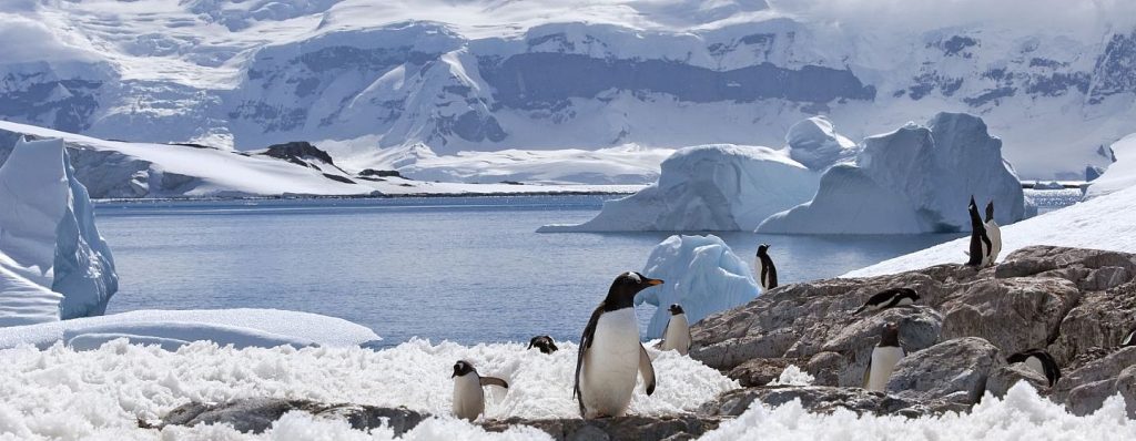 Anuncian inédita transmisión televisiva desde Antártida para mostrar expedición científica
