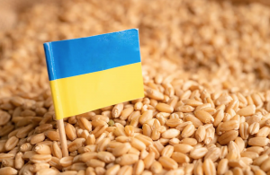 Estados Unidos insta a Rusia a volver al acuerdo de exportación de cereal ucraniano