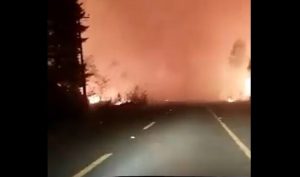 Incendio forestal: Por rápido avance del fuego Onemi extiende Alerta Roja en el Maule
