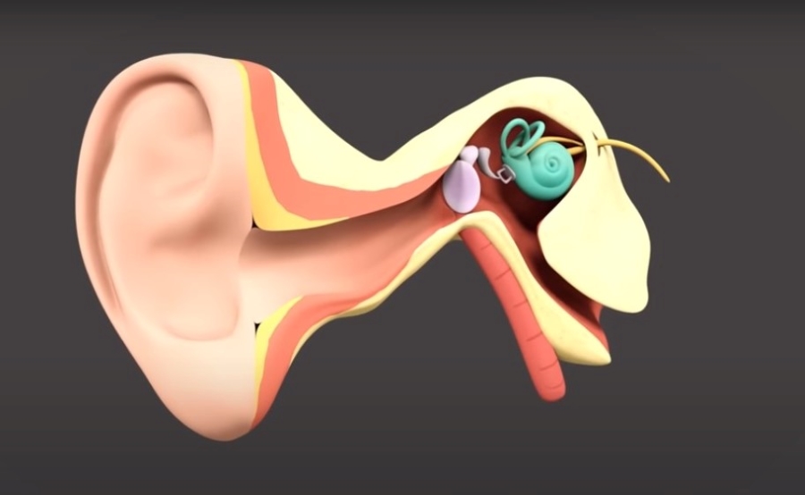 Estimular un nervio en el oído ayuda a los pacientes graves de COVID-19