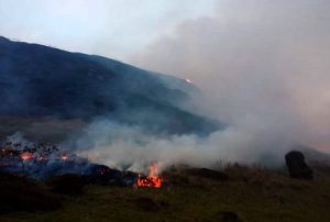 FOTOS| “Tragedia sin precedentes”: Así quedaron los moais tras incendio forestal en Rapa Nui