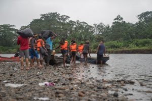 "Cicatrices" ambientales en la jungla del Darién por paso de casi 800 mil migrantes al mes