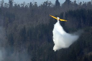 Nueva ola de calor en zona central hace aumentar peligro de incendios forestales