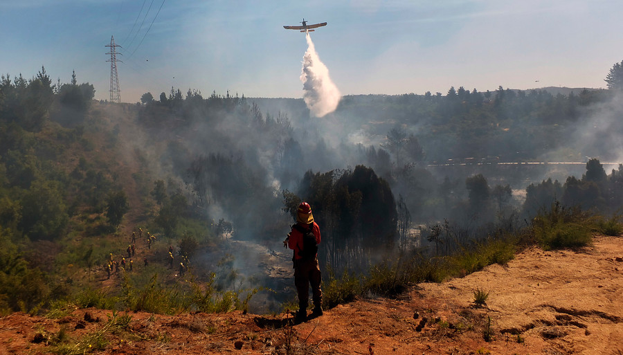Científicos por incendios: solicitan que forestales se sometan a evaluación ambiental