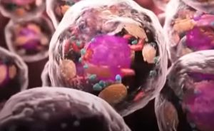 Ciencia da un paso hacia la creación de células artificiales funcionales con bacterias