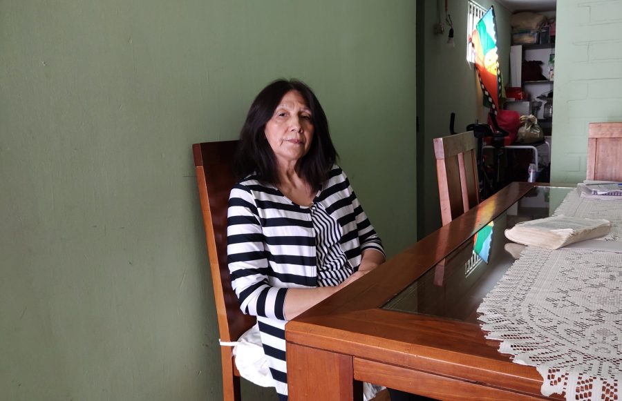 Elda Delgado posa sentada en su living. En el fondo se ve una bandera mapuche.