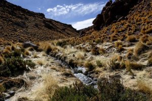 Corte de La Haya informa fecha de sentencia por conflicto Chile-Bolivia por el río Silala
