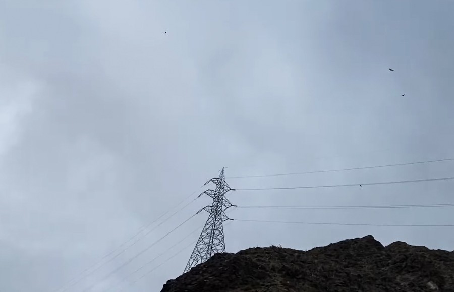 Torre-de-alta-tension. Foto: Defensores Región del Maule.