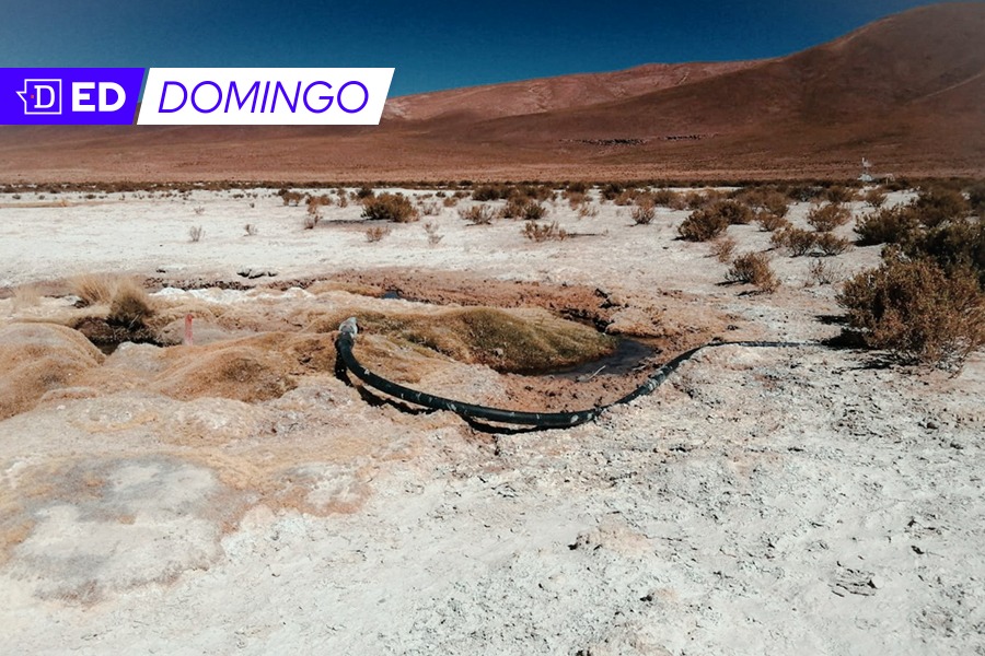 Tras daño “irreparable” prohíben extraer agua en Lagunillas, en cuenca del Salar de Huasco