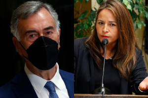Nuevas renuncias en la DC: Diputados Saffirio y Pérez dejan el partido