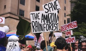 Los ambientalistas critican la falta de acciones concretas en la Cumbre Amazónica