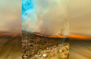 VIDEO| Alerta Roja para la comuna de Huara por incendio forestal fuera de control