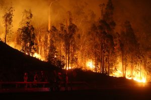 Incendios forestales: Onemi mantiene Alerta Temprana Preventiva en RM y detalla siniestros