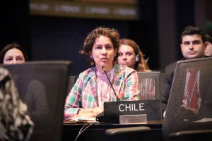 Adaptación, Antártica, océanos y metano: Los temas que espera instalar Chile en la COP 28
