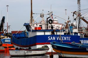 CONDEPP llama a tener “cuidado” con la Subsecretaria de Pesca ante eventual cambio de gabinete