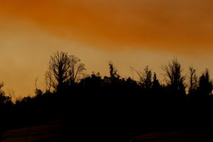 Incendios forestales: Base de la Conaf se instalará en comuna de Padre Hurtado