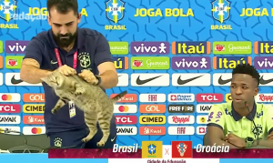 VIDEO| Gato irrumpe en conferencia de Brasil: Encargado de prensa lo arroja bruscamente