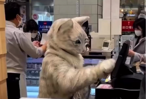 VIDEO| Mira el viral del trabajador que atiende disfrazado de gato