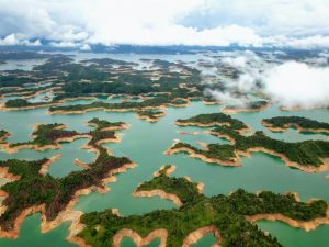 Con la biodiversidad acorralada, América Latina voltea a la COP15 por soluciones