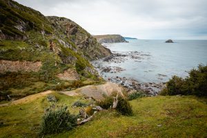 Tierra del Fuego nombra a Península Mitre como Área Natural Protegida