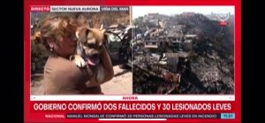 VIDEO| “Está bien el regalón”: Familia encuentra con vida a su perro tras incendio en Viña