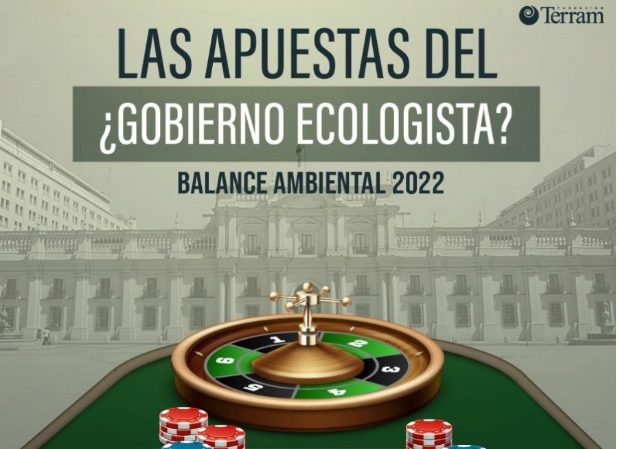 Balance Ambiental Fundación Terram 2022: Las apuestas del ¿Gobierno ecologista?