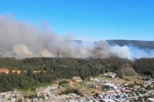 Incendio forestal: Decretan alerta roja en San Pedro de la Paz ante peligro de viviendas