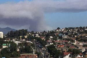 Onemi decreta Alerta Roja en Quilpué: Incendio forestal amenaza viviendas
