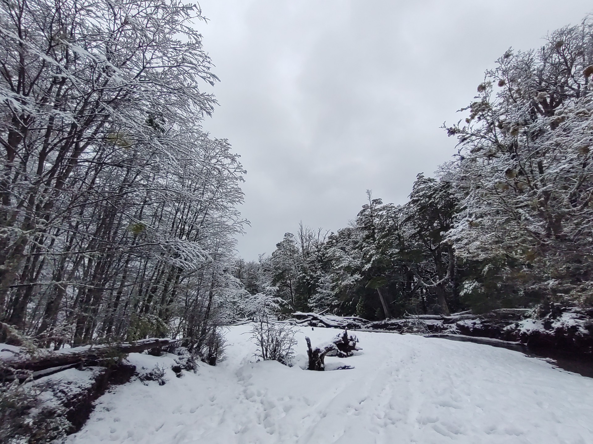 Parque Ukika en invierno