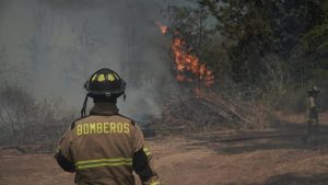 VIDEO| Onemi: 8 incendios forestales siguen en combate y Curacaví llega a 6.500 hectáreas afectadas