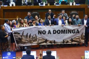 VIDEO| Diputados se manifiestan en el Congreso para que Gobierno rechace Dominga