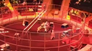 VIDEO| El impactante registro que capta el ataque de un león a un domador de circo