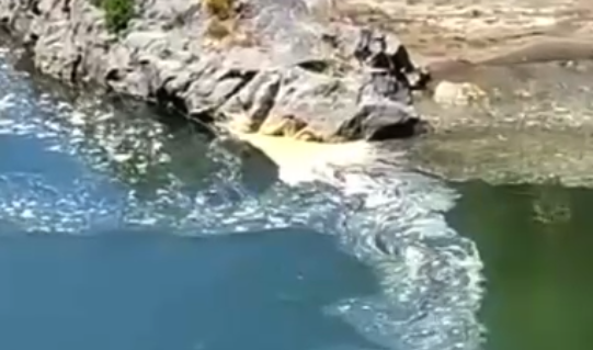 VIDEO| Registro capta una extraña sustancia blanca y espumosa en río Nilahue