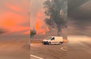 VIDEO| Alerta Roja en Curacaví por incendio forestal en Cuesta Zapata: Ruta 68 afectada