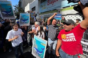 VIDEO| Colectivos medioambientales celebran rechazo de Dominga y piden área protegida