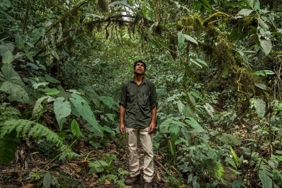 Conoce la historia de la comunidad ecuatoriana en conflicto con Codelco