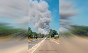 VIDEO| Senapred ordena evacuación en Ránquil ante peligro por incendio forestal