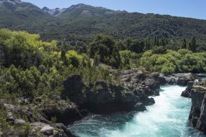 Identifican los lugares de la Patagonia que sirven como refugio frente al cambio climático