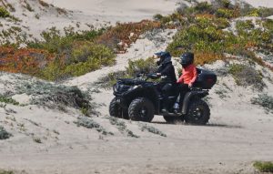 ¿Jeepeo en las dunas? Congreso estudia legislar sobre el tránsito de vehículos en playas